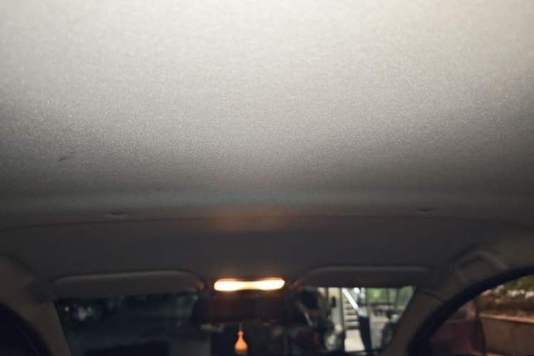 Used SOL E10X 2022 Flower Fairy Design Sunflower Headliner