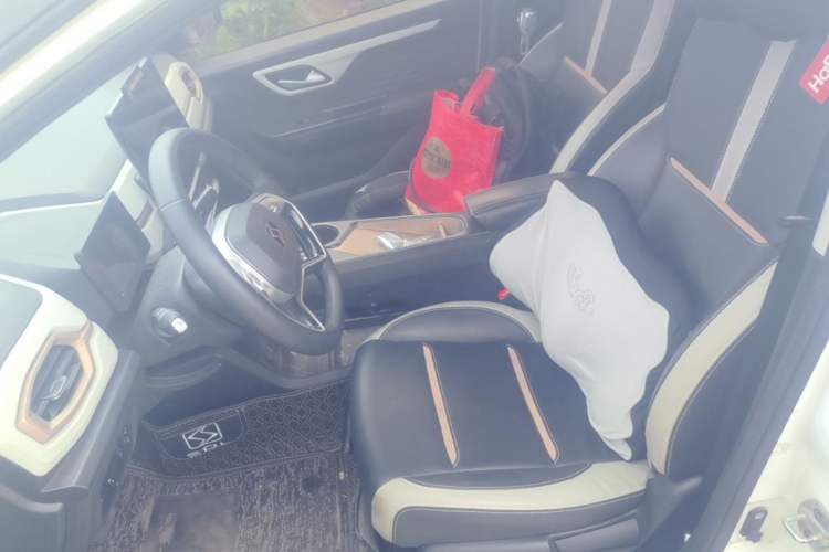Used SOL E10X 2022 Flower Fairy Style Baby's Breath Left Front Seat
