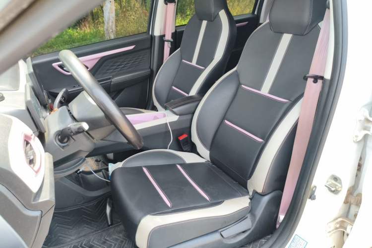 Used SOL E10X 2022 Flower Fairy Design Four-Leaf Clover Left Front Seat