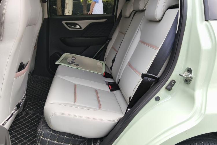 Used SOL E10X 2022 Flower Fairy Design Four-Leaf Clover Left Rear Seat