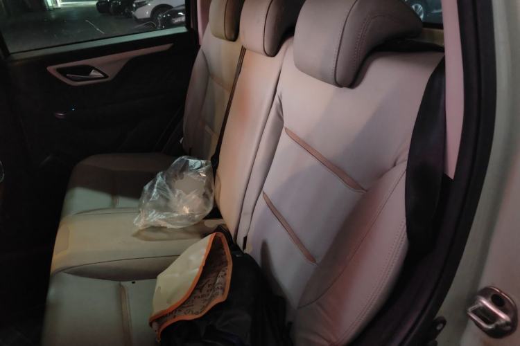 Used SOL E10X 2022 Flower Fairy Design Sunflower Left Rear Seat