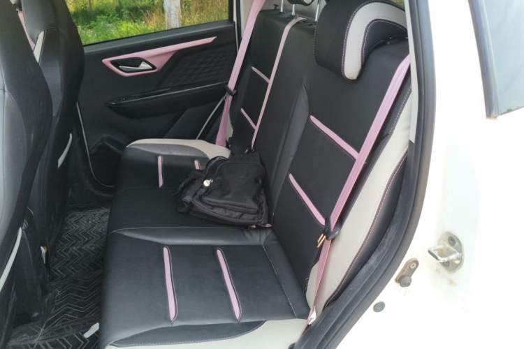 Used SOL E10X 2022 Flower Fairy Design Four-Leaf Clover Left Rear Seat