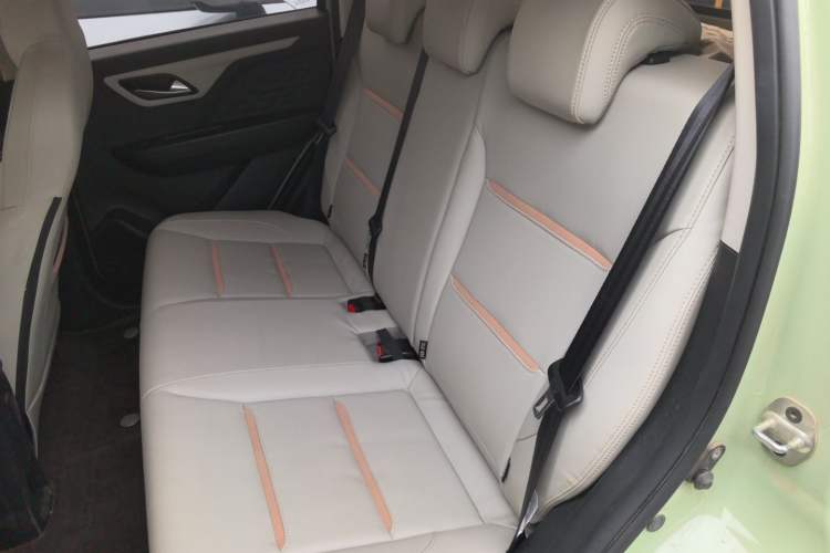 Used SOL E10X 2022 Flower Fairy Design Four-Leaf Clover Left Rear Seat