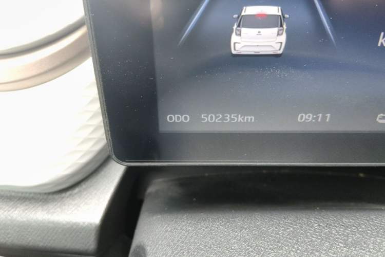 Used SOL E10X 2022 Flower Fairy Design Four-Leaf Clover Odometer Close Up