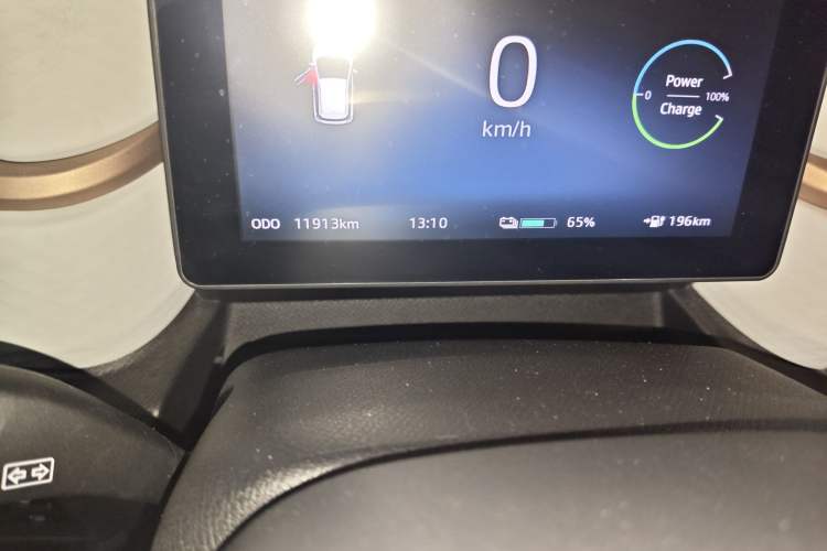 Used SOL E10X 2022 Flower Fairy Design Four-Leaf Clover Odometer Close Up