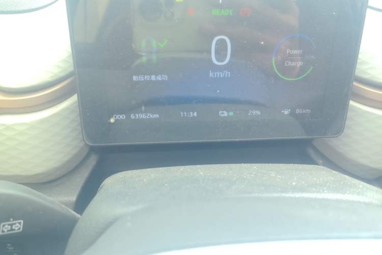 Used SOL E10X 2022 Flower Fairy Style Baby's Breath Odometer Close Up
