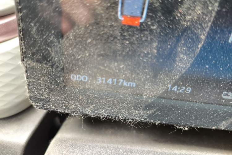 Used SOL E10X 2022 Flower Fairy Design Four-Leaf Clover Odometer Close Up