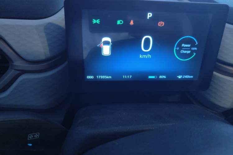 Used SOL E10X 2022 Flower Fairy Design Sunflower Odometer Close Up