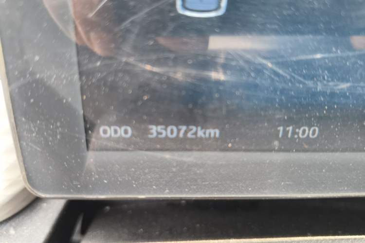 Used SOL E10X 2022 Flower Fairy Design Four-Leaf Clover Odometer Close Up