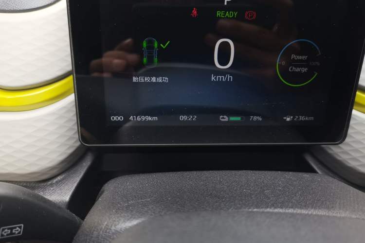 Used SOL E10X 2022 Flower Fairy Design Four-Leaf Clover Odometer Close Up