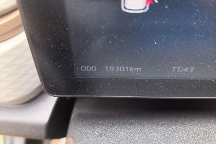 Used SOL E10X 2022 Flower Fairy Design Four-Leaf Clover Odometer Close Up