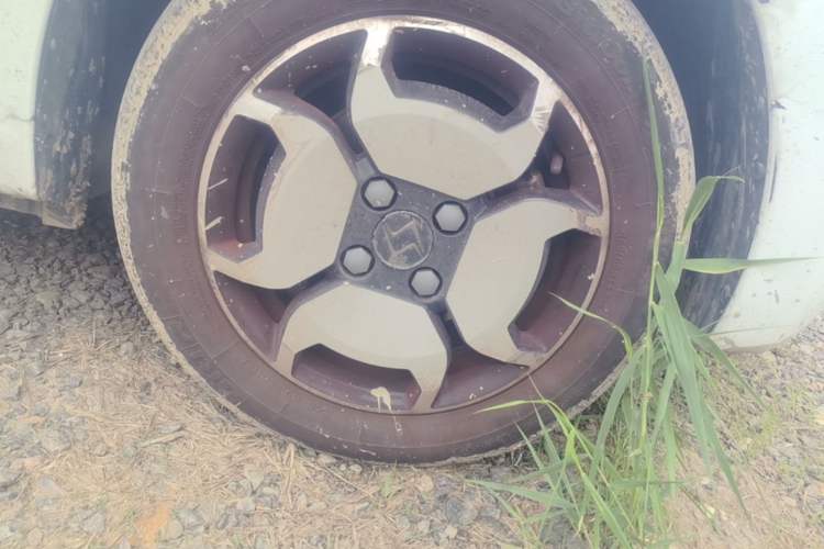 Used SOL E10X 2022 Flower Fairy Style Baby's Breath Right Front Wheel Hub