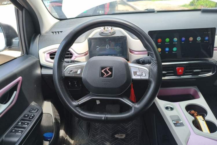 Used SOL E10X 2022 Flower Fairy Design Four-Leaf Clover Steering Wheel