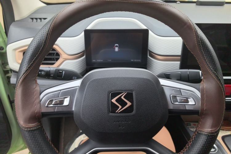 Used SOL E10X 2022 Flower Fairy Design Four-Leaf Clover Steering Wheel