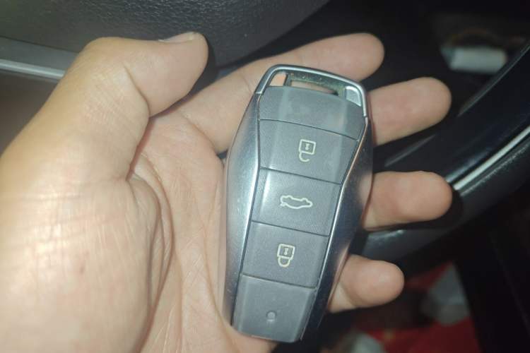 Used SOL E10X 2022 Flower Fairy Design Four-Leaf Clover Vehicle Key