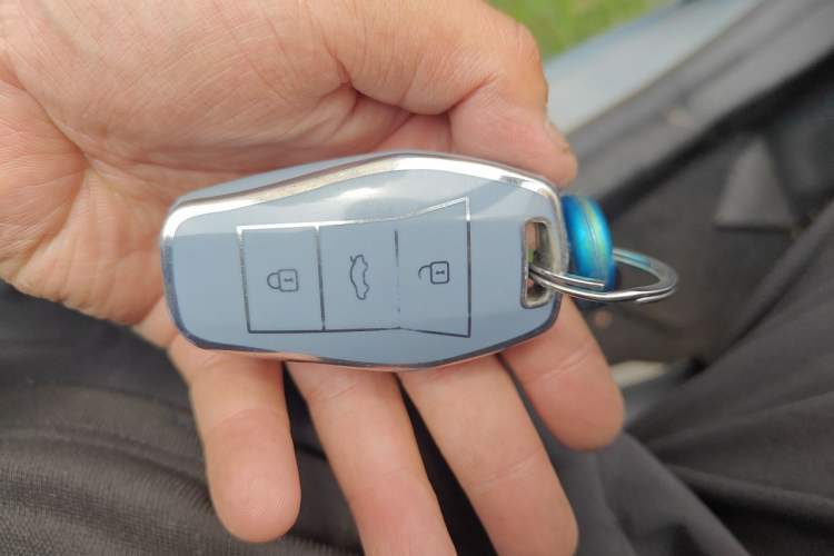 Used SOL E10X 2022 Flower Fairy Design Four-Leaf Clover Vehicle Key