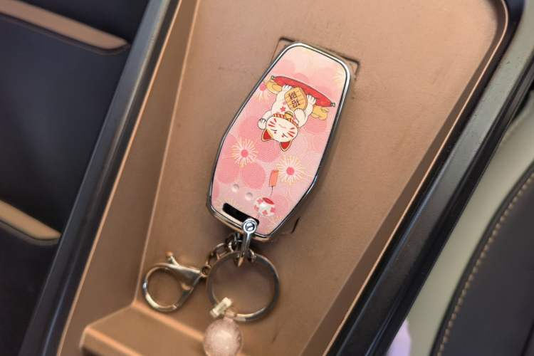 Used SOL E10X 2022 Flower Fairy Design Four-Leaf Clover Vehicle Key