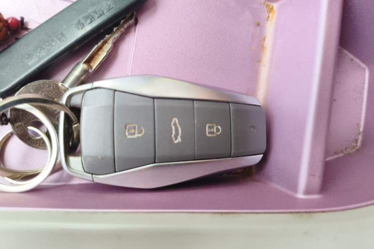 Used SOL E10X 2022 Flower Fairy Design Four-Leaf Clover Vehicle Key
