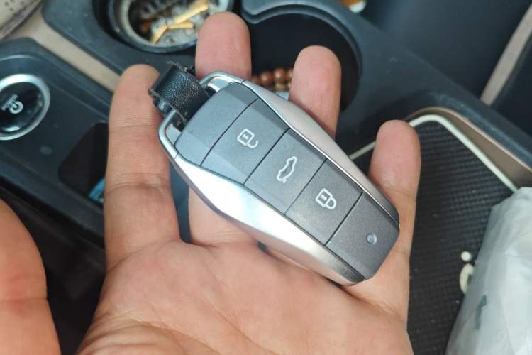 Used SOL E10X 2022 Flower Fairy Style Baby's Breath Vehicle Key