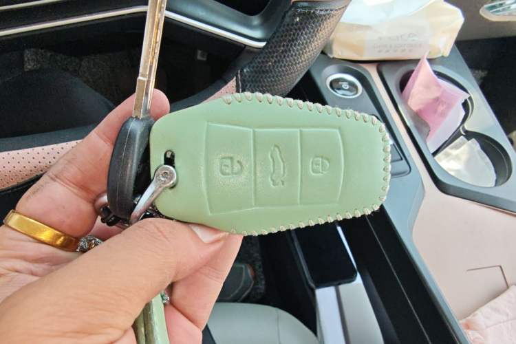 Used SOL E10X 2022 Flower Fairy Design Four-Leaf Clover Vehicle Key