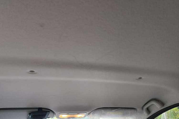 Used SOL E10X 2022 Flower Fairy Design Four-Leaf Clover Headliner