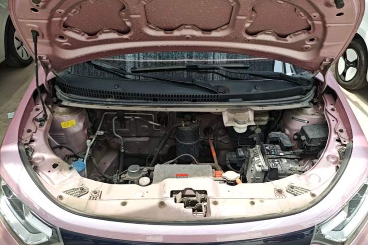 Used SOL E10X 2022 Flower Fairy Style Baby's Breath Engine Bay