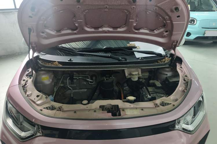 Used SOL E10X 2022 Flower Fairy Design Four-Leaf Clover Engine Bay