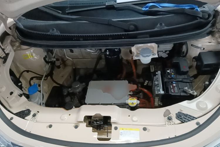 Used SOL E10X 2022 Flower Fairy Style Baby's Breath Engine Bay