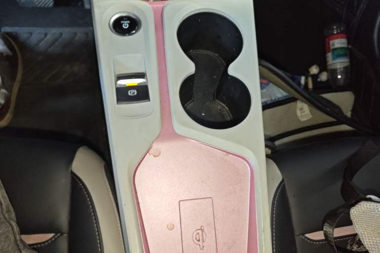 Used SOL E10X 2022 Flower Fairy Design Four-Leaf Clover Gear Lever