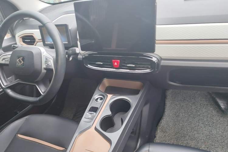 Used SOL E10X 2022 Flower Fairy Style Baby's Breath Audio And AC Panel