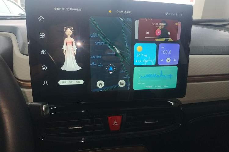 Used SOL E10X 2022 Flower Fairy Style Baby's Breath Audio And AC Panel
