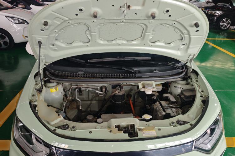 Used SOL E10X 2022 Flower Fairy Design Four-Leaf Clover Engine Bay