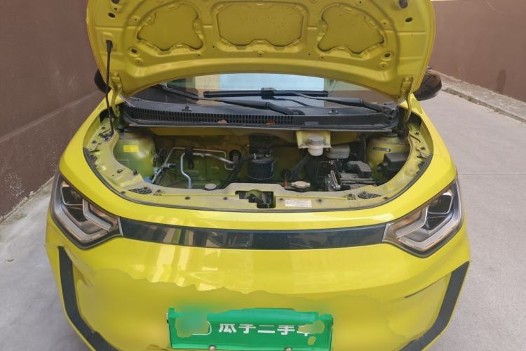 Used SOL E10X 2022 Flower Fairy Style Baby's Breath Engine Bay