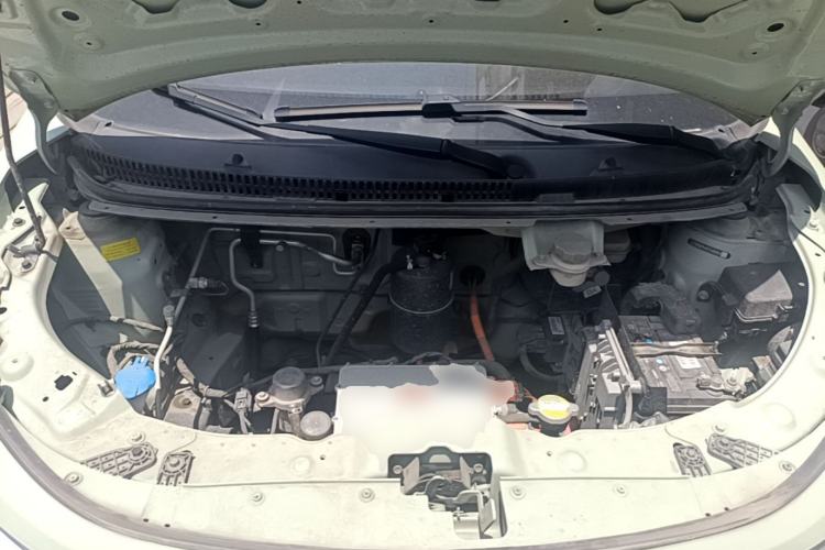 Used SOL E10X 2022 Flower Fairy Style Baby's Breath Engine Bay