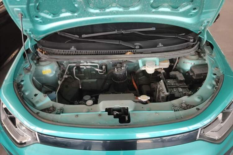 Used SOL E10X 2022 Flower Fairy Style Baby's Breath Engine Bay