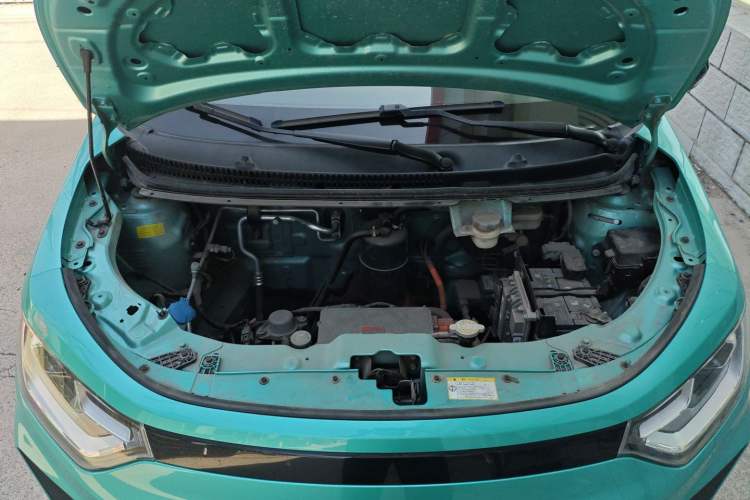 Used SOL E10X 2022 Flower Fairy Design Four-Leaf Clover Engine Bay