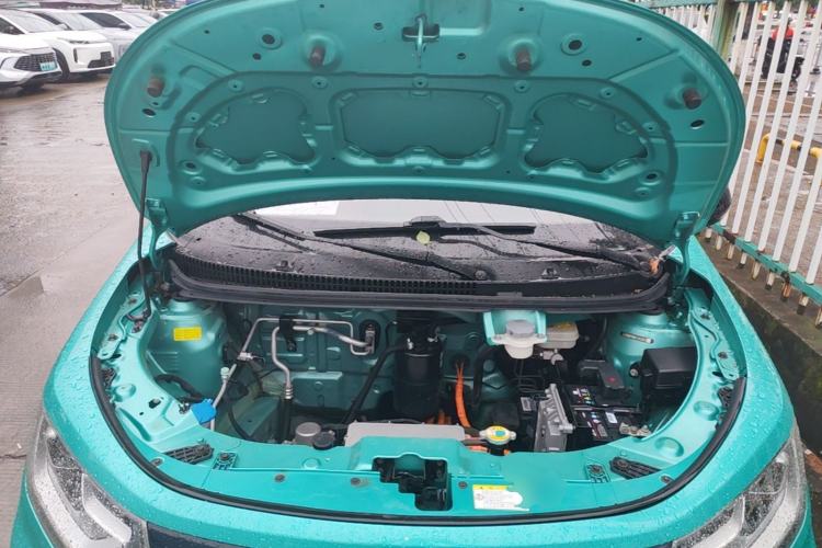Used SOL E10X 2022 Flower Fairy Style Baby's Breath Engine Bay
