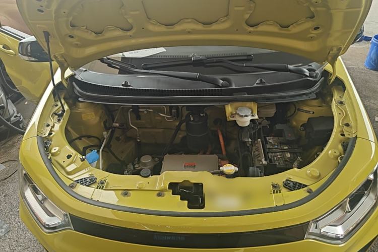 Used SOL E10X 2022 Flower Fairy Style Baby's Breath Engine Bay