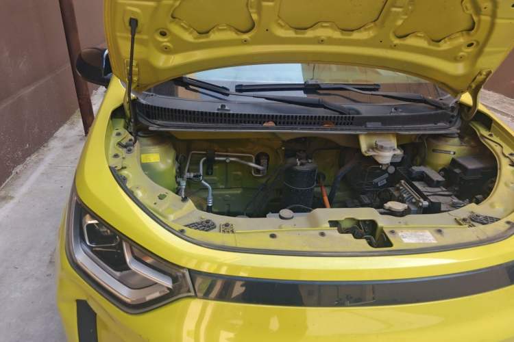 Used SOL E10X 2022 Flower Fairy Style Baby's Breath Engine Bay Right