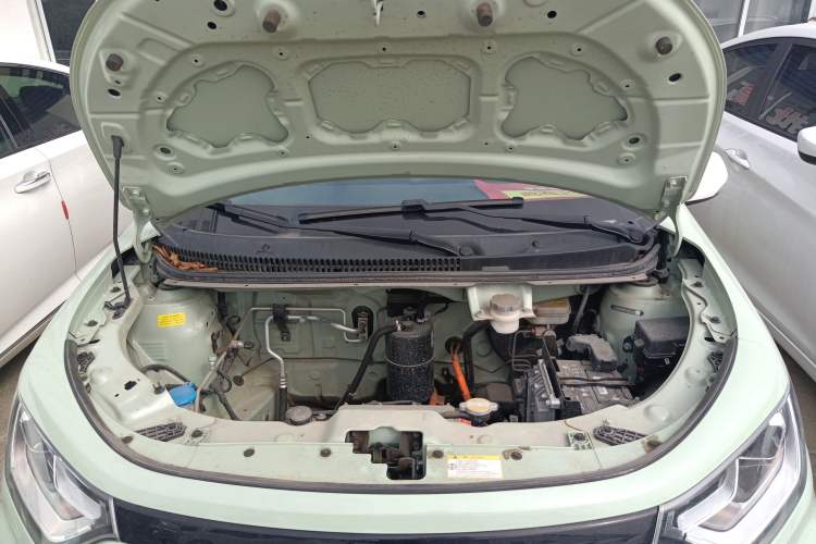 Used SOL E10X 2022 Flower Fairy Style Baby's Breath Engine Bay