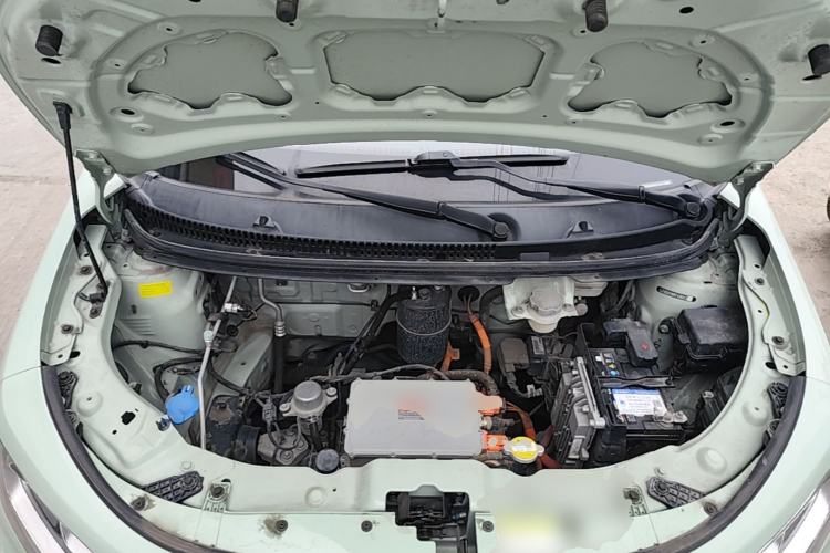 Used SOL E10X 2022 Flower Fairy Style Baby's Breath Engine Bay