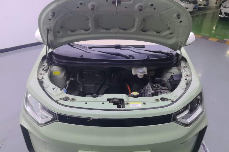 Used SOL E10X 2022 Flower Fairy Style Baby's Breath Engine Bay