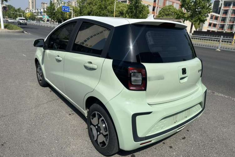 Used SOL E10X 2022 Flower Fairy Style Baby's Breath Exterior 4