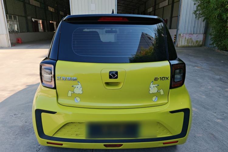 Used SOL E10X 2022 Flower Fairy Style Baby's Breath Exterior 4