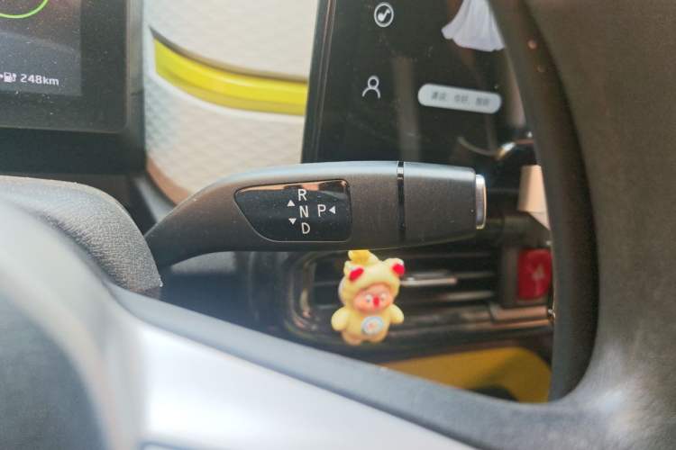 Used SOL E10X 2022 Flower Fairy Style Baby's Breath Gear Lever