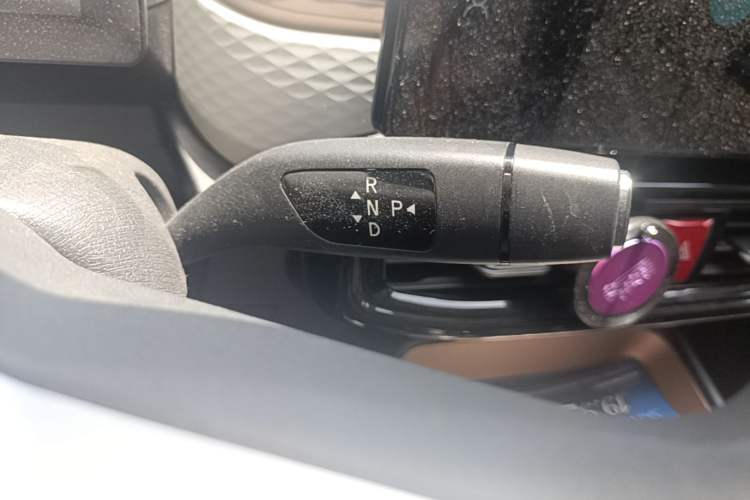 Used SOL E10X 2022 Flower Fairy Style Baby's Breath Gear Lever