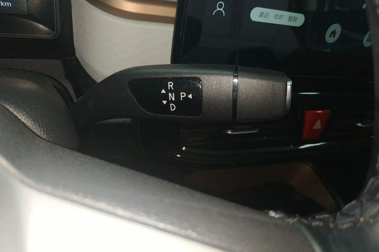 Used SOL E10X 2022 Flower Fairy Style Baby's Breath Gear Lever