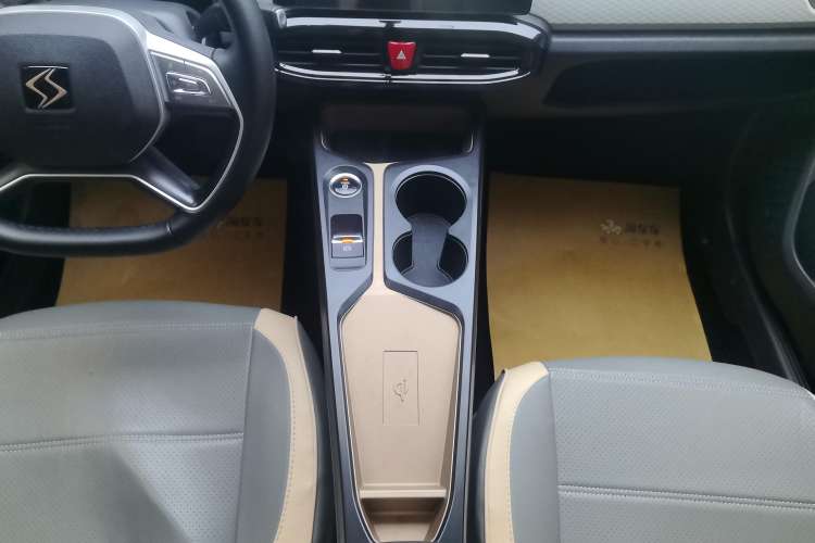 Used SOL E10X 2022 Flower Fairy Style Baby's Breath Gear Lever