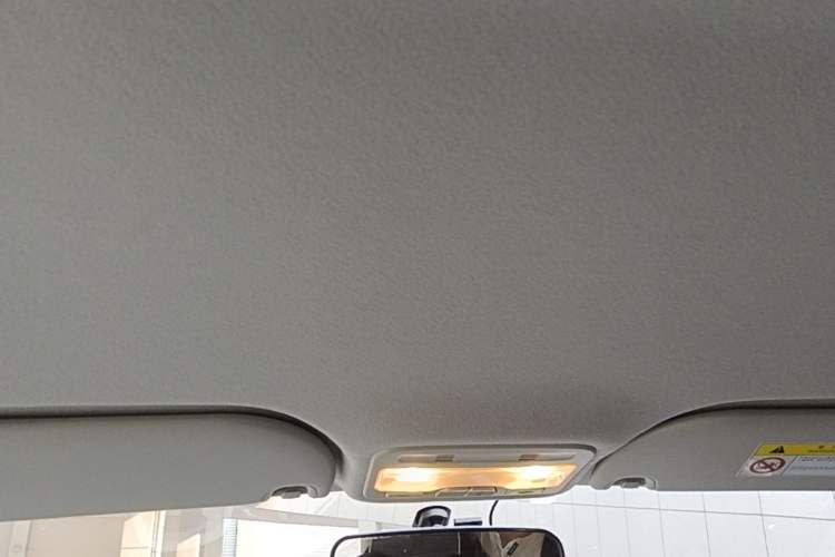 Used SOL E10X 2022 Flower Fairy Design Four-Leaf Clover Headliner