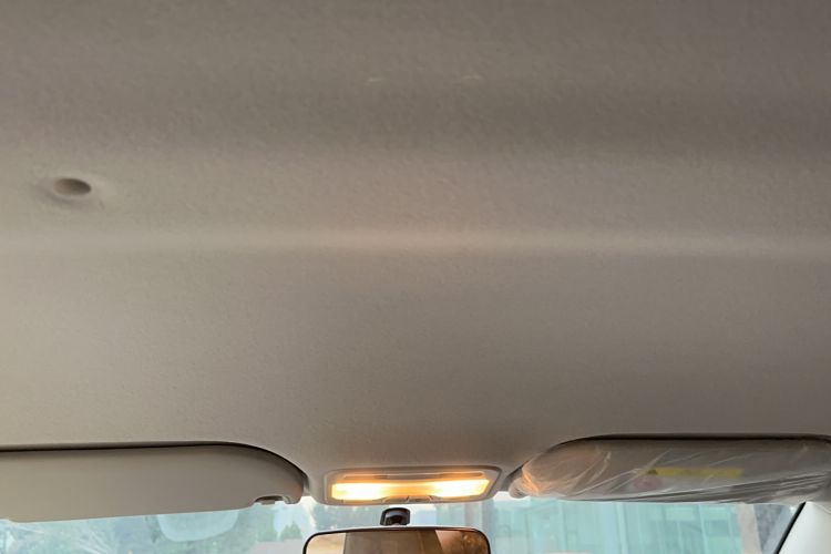 Used SOL E10X 2022 Flower Fairy Design Four-Leaf Clover Headliner